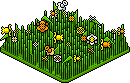 HABBO Product