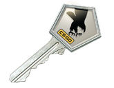 CSGO Product