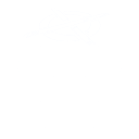 CO Product