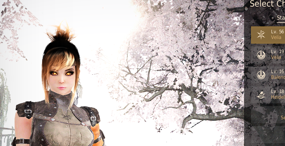 BDO Product