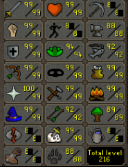 Max Combat Main | 2160+ Total | 300+ QP | Infernal Cape | Avernic | Elite Void | Torso | 10 Pets | Max Diaries