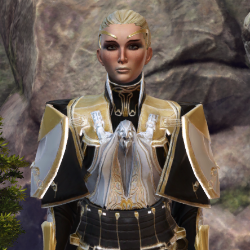 SWTOR Product